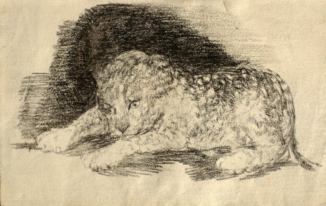 Pantera, Burdeos, de Rosario Weiss y Francisco de Goya, h. 1824, lápiz litográfico sobre papel. Arriba, Retrato de Goya, de Rosario Weiss, Burdeos, 1828, lápiz negro sobre papel, 153 x 108 mm. Todas las imágenes, pertenecientes al Museo Lázaro Galdiano.