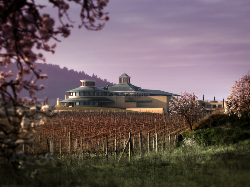 Museo-Vivanco-general-entre-viñas-OC.jpg