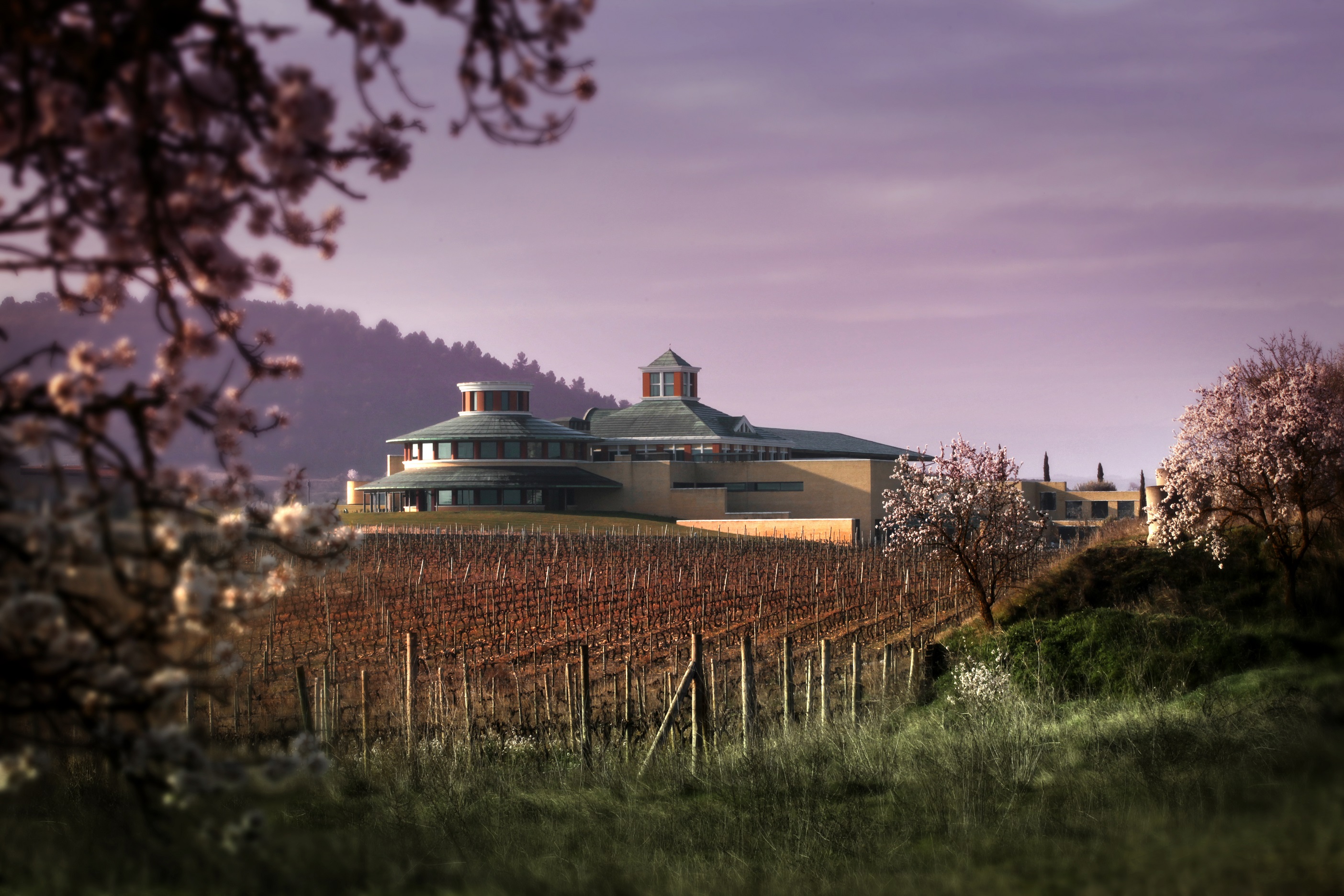 Museo-Vivanco-general-entre-viñas-OC.jpg