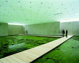 Mediated motion, por Olafur Eliasson en museo Kunsthaus de Bregenz. 