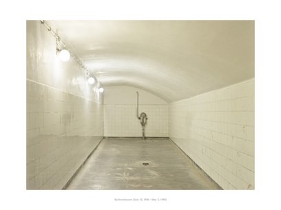 Paragraph 175, por Fernando Bayona.