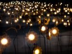 Little Sun Garden, exposición en Doha.