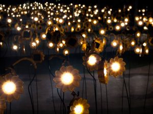 Little Sun Garden, exposición en Doha.