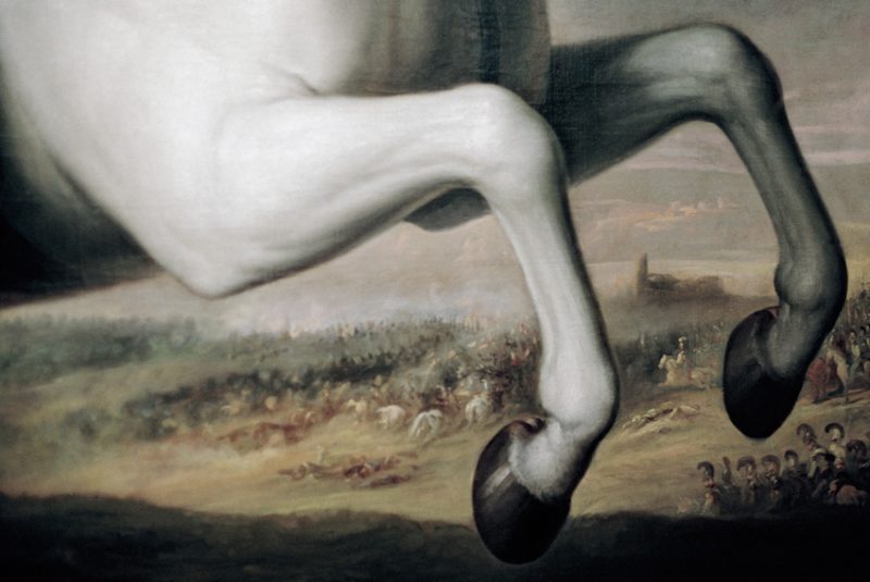 Raiponce-Marie-Maurel-de-Maillé.jpg
