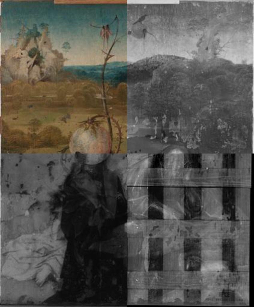 Vista cortina de las Meditaciones de San Juan Bautista. © Rik Klein Gotink, Museo Lázaro Galdiano.Arriba, detalle de las Meditaciones de San Juan Bautista (1485-1510), por Hieronymus Bosch. Inv. 8155 © Museo Lázaro Galdiano.