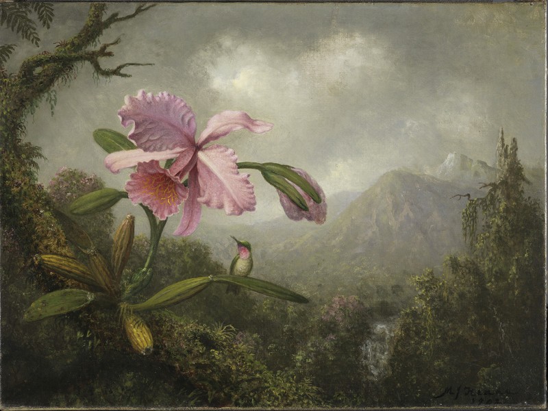 Orquídea-y-colibrí-cerca-de-una-cascada-1902-por-Martin-Johnson-Heade.jpg