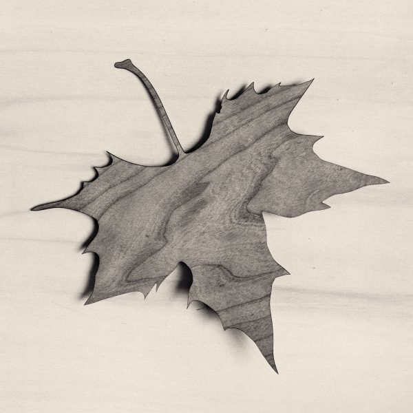 01.-Chema-Madoz.-Serie-El-viajero-inmóvil-2016.-Miradas-de-Asturias.-Mecenazgo.-Fundación-María-Cristina-Masaveu-Peterson-2017.-Colección-de-Arte-Fundación-María-Cristina-Masaveu-Peterson.jpg