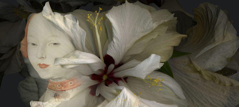 Hibiscus-detalle.jpg