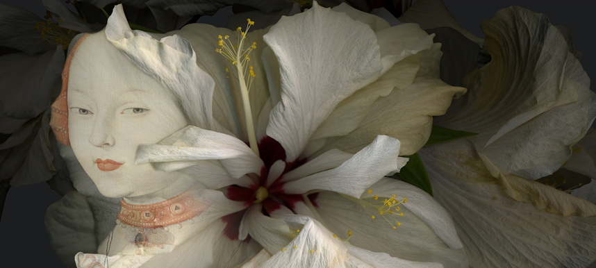 Hibiscus-detalle.jpg