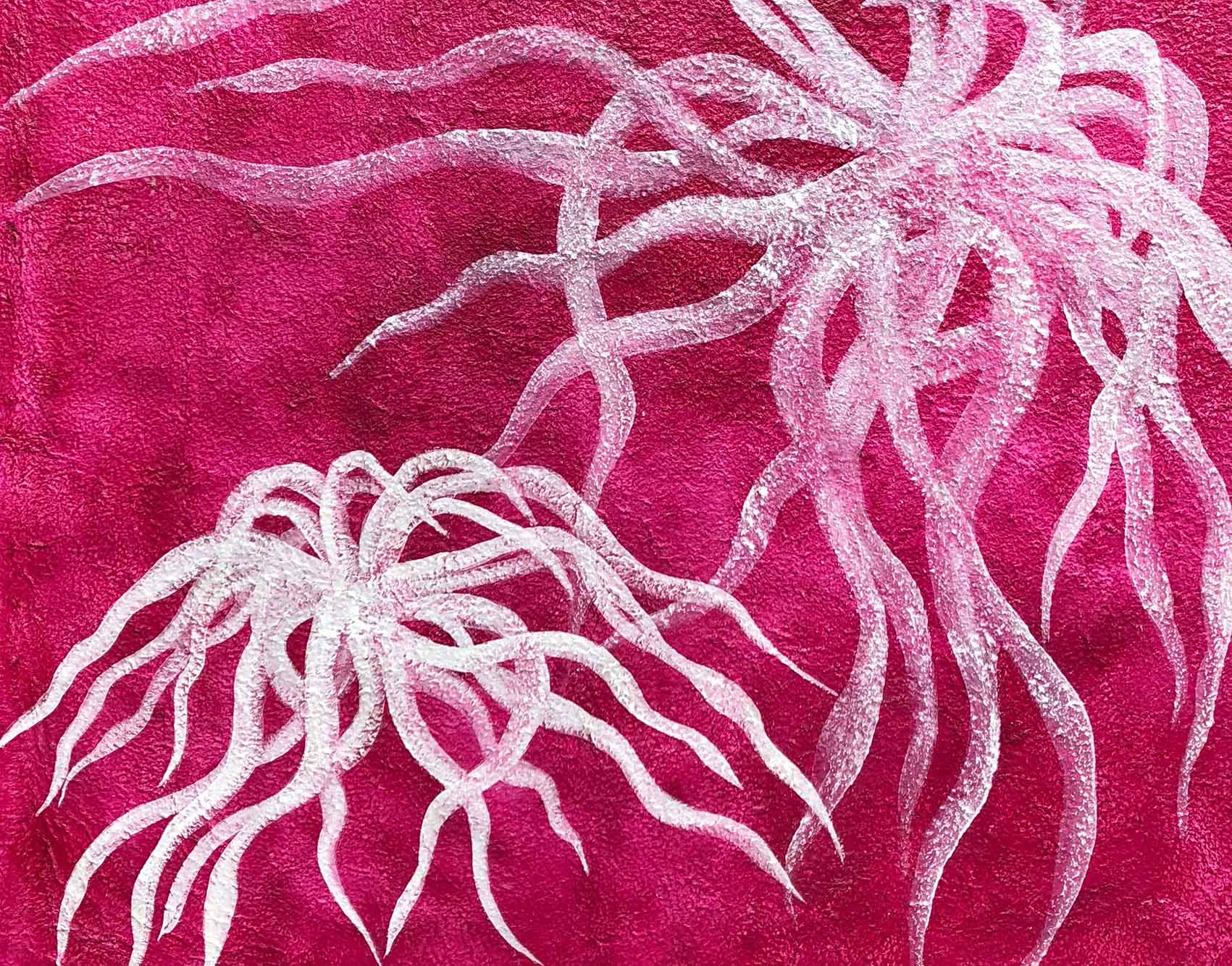 abrir-Posidonia-Pink.jpg