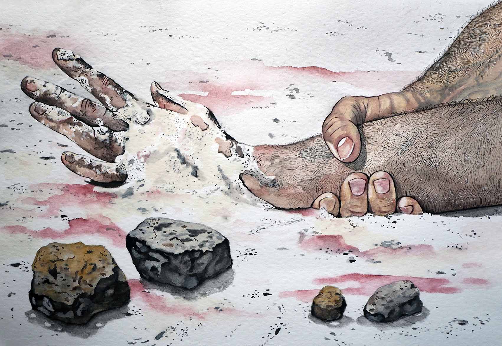 SilviaLermo_Escoser_-20x30cm_2018-Acuarela-sobre-papel_ADMIRAL-1.jpg