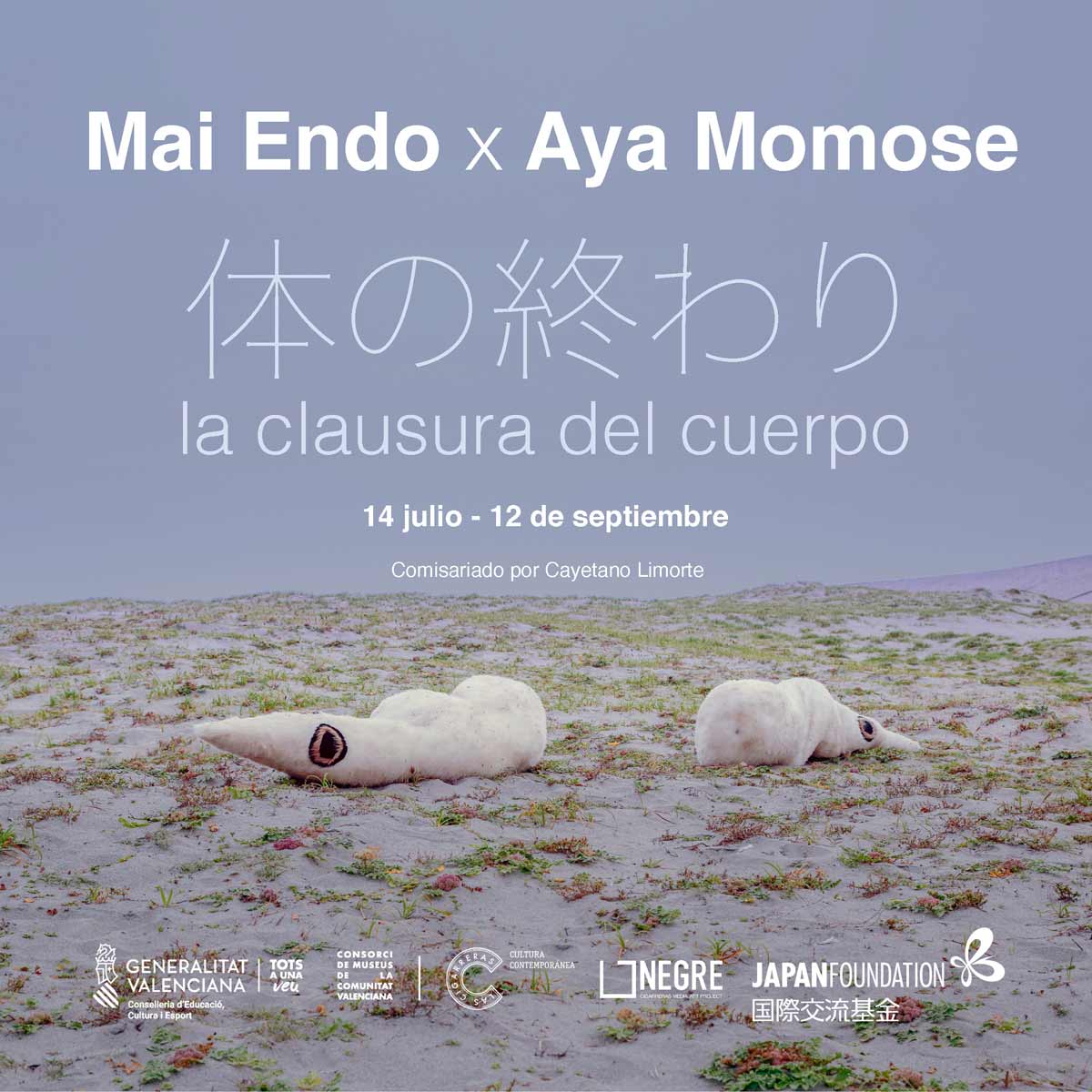 Cartel-MaiAya-2-isi-02-02-02.jpg