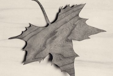 01.-Chema-Madoz.-Serie-El-viajero-inmóvil-2016.-Miradas-de-Asturias.-Mecenazgo.-Fundación-María-Cristina-Masaveu-Peterson-2017.-Colección-de-Arte-Fundación-María-Cristina-Masaveu-Peterson.jpg
