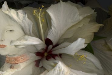 Hibiscus-detalle.jpg