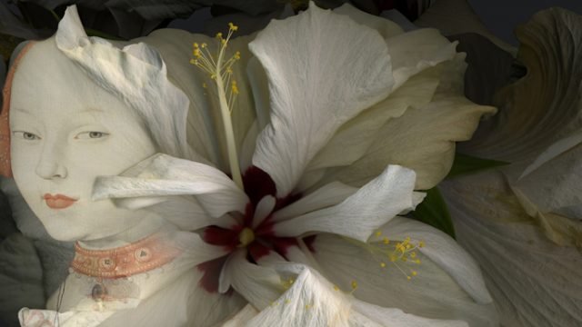 Hibiscus-detalle.jpg