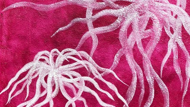abrir-Posidonia-Pink.jpg