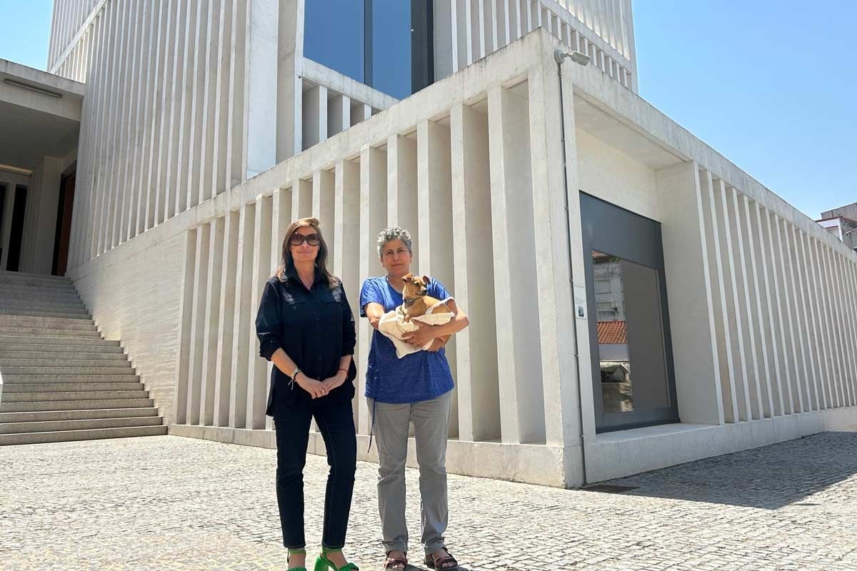 helga-alvear-residencia.jpg