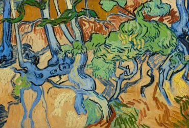 raices-de-un-arbol.jpg